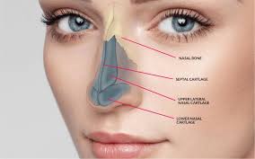 Rhinoplasty Hospital Treatment in Tellapur