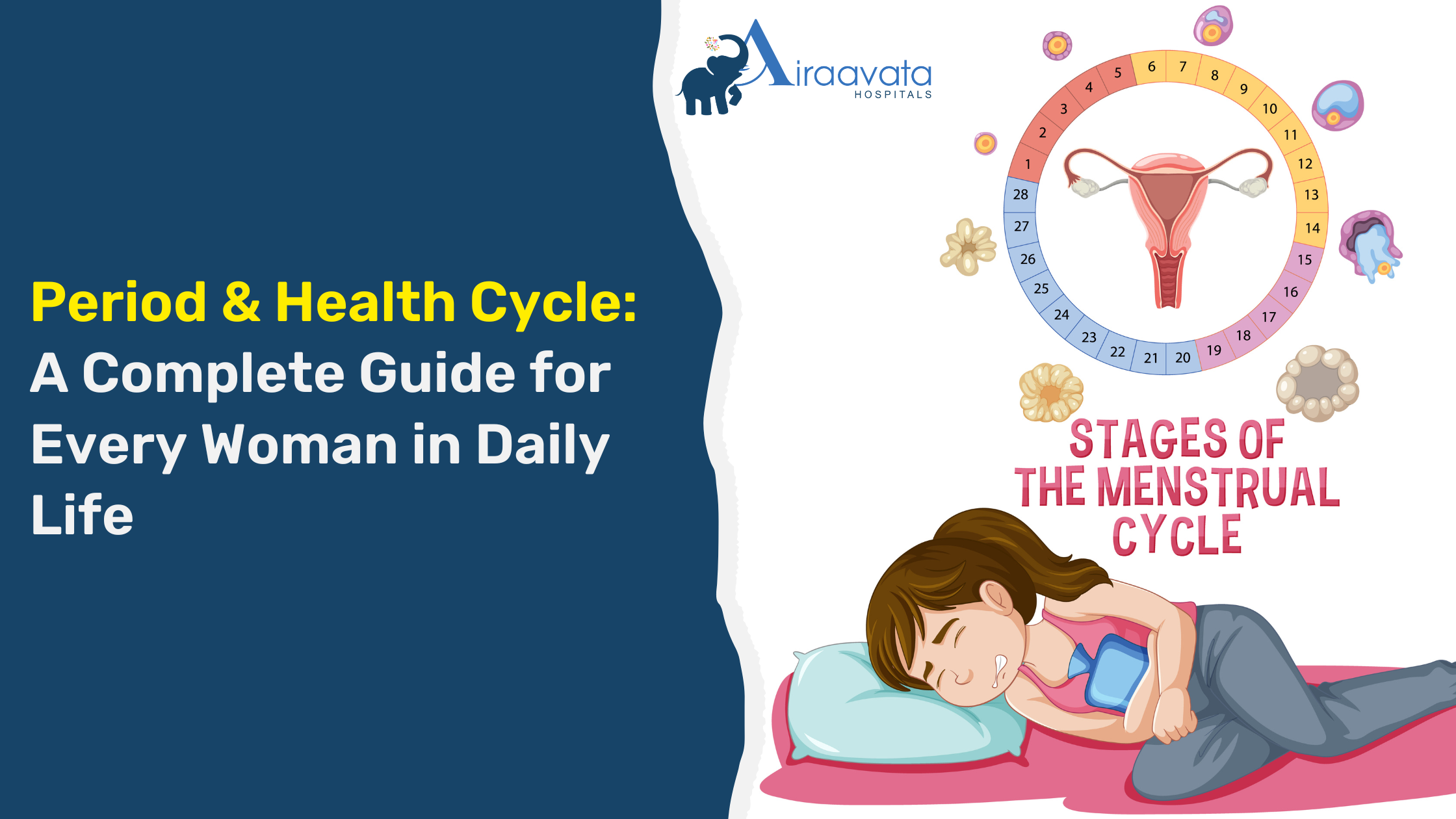 Period & Health Cycle A Complete Guide for Every Woman in Daily Life - Airaavata Hospitals