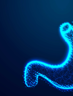 Best Gastroenterology Hospital in Tellapur - Airaavata Hospitals